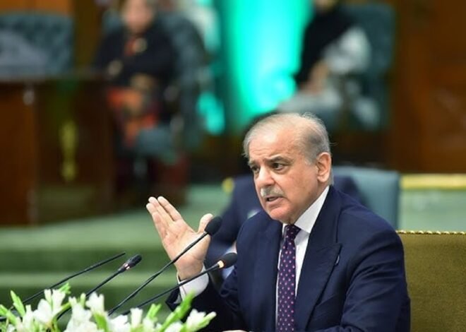 PM Shehbaz Sharif calls on world to urge Kabul to rein in terrorists operating from Afghan soil