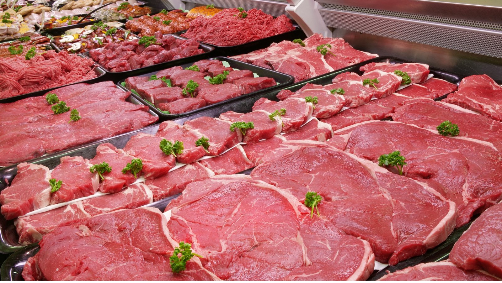 Pakistan, Brazil to expand livestock, dairy & meat cooperation