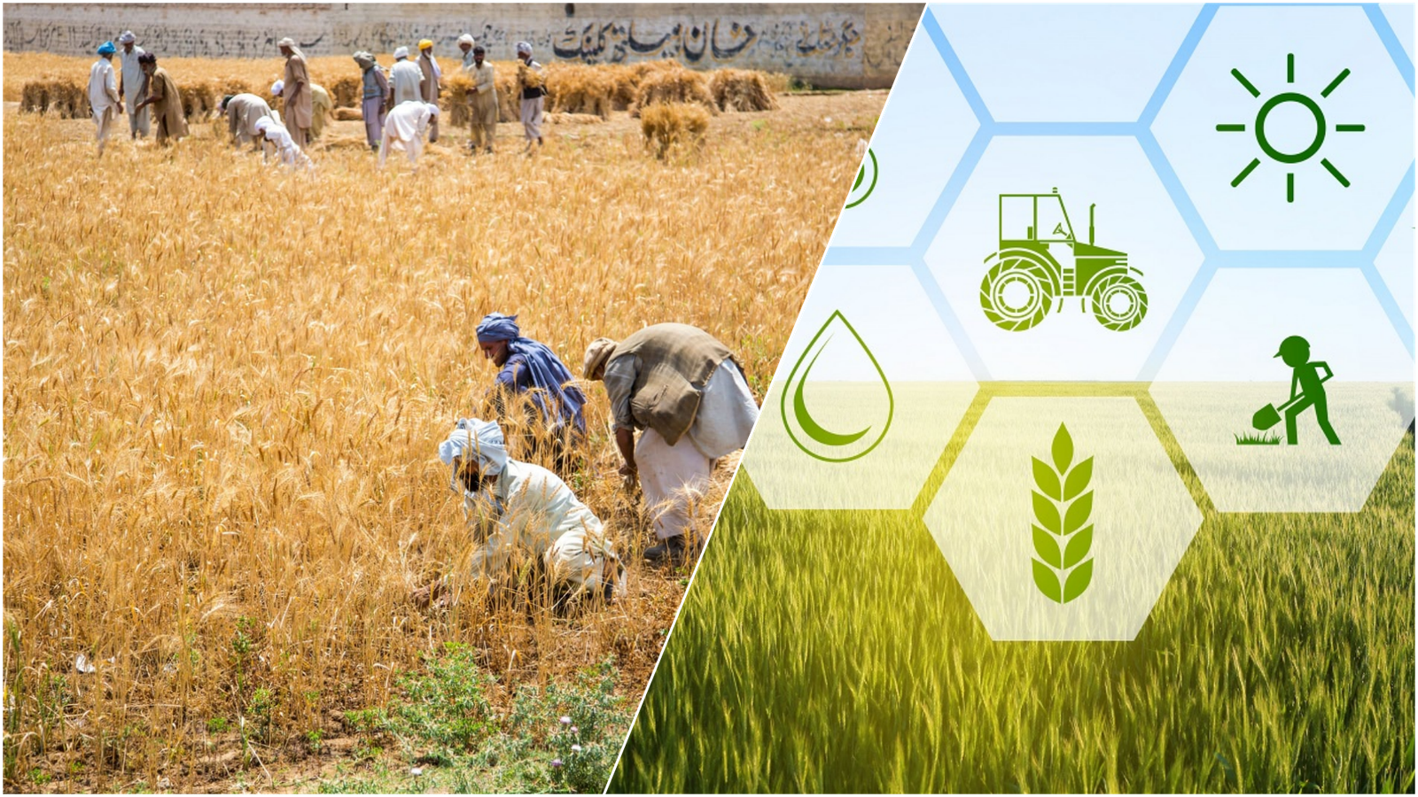 Pakistan unlocks new growth frontiers in Agriculture, Tourism