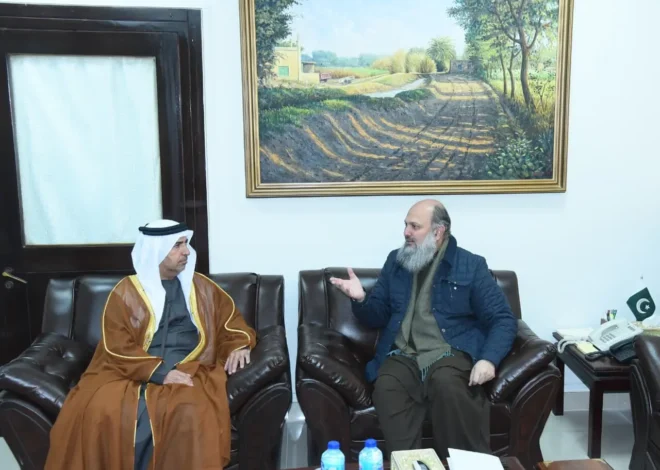 Pakistan, UAE economic ties set to deepen with CEPA progress