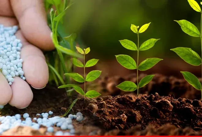 Fertilizer offtake increases 23% YoY in December