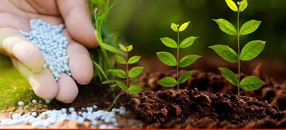 Fertilizer offtake increases 23% YoY in December