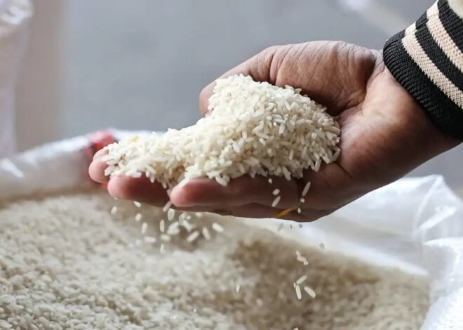 Basmati Export Surge Lifts Pakistan to World’s Third-Largest Rice Exporter